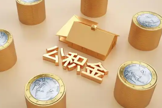 信阳退休公积金代办提取额度是多少？